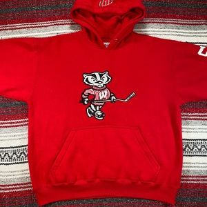 University Wisconsin Champion Brand Hoodie